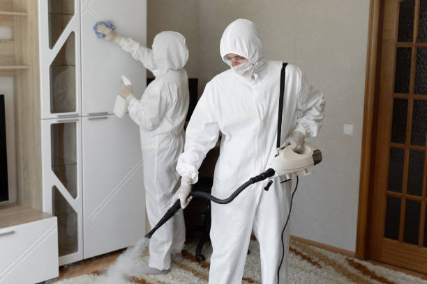 Best HVAC Mold Remediation in Sierra Ridge, CO